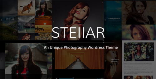 Stellar Responsive Creative and Photography Theme