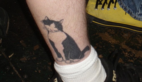 Hilarious Cat Tattoo Picture