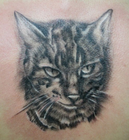 Portrait Cat Tattoo