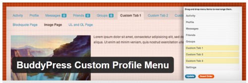BuddyPress Custom Profile Menu