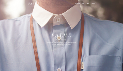 falve-single-picture-home-page-design